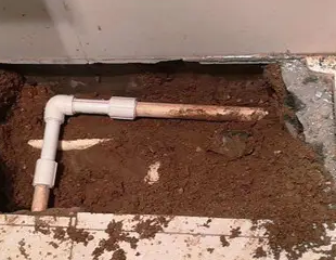 江口测漏水哪家好