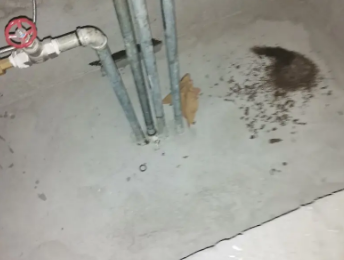 江口卫生间测漏水价格明细