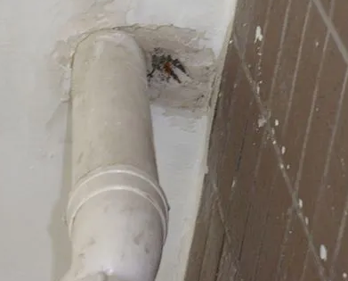 江口漏水检测哪家好